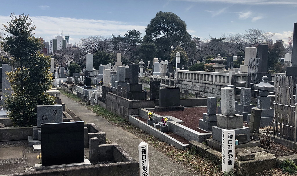 Tokyo The City Area Japan Nature Guides